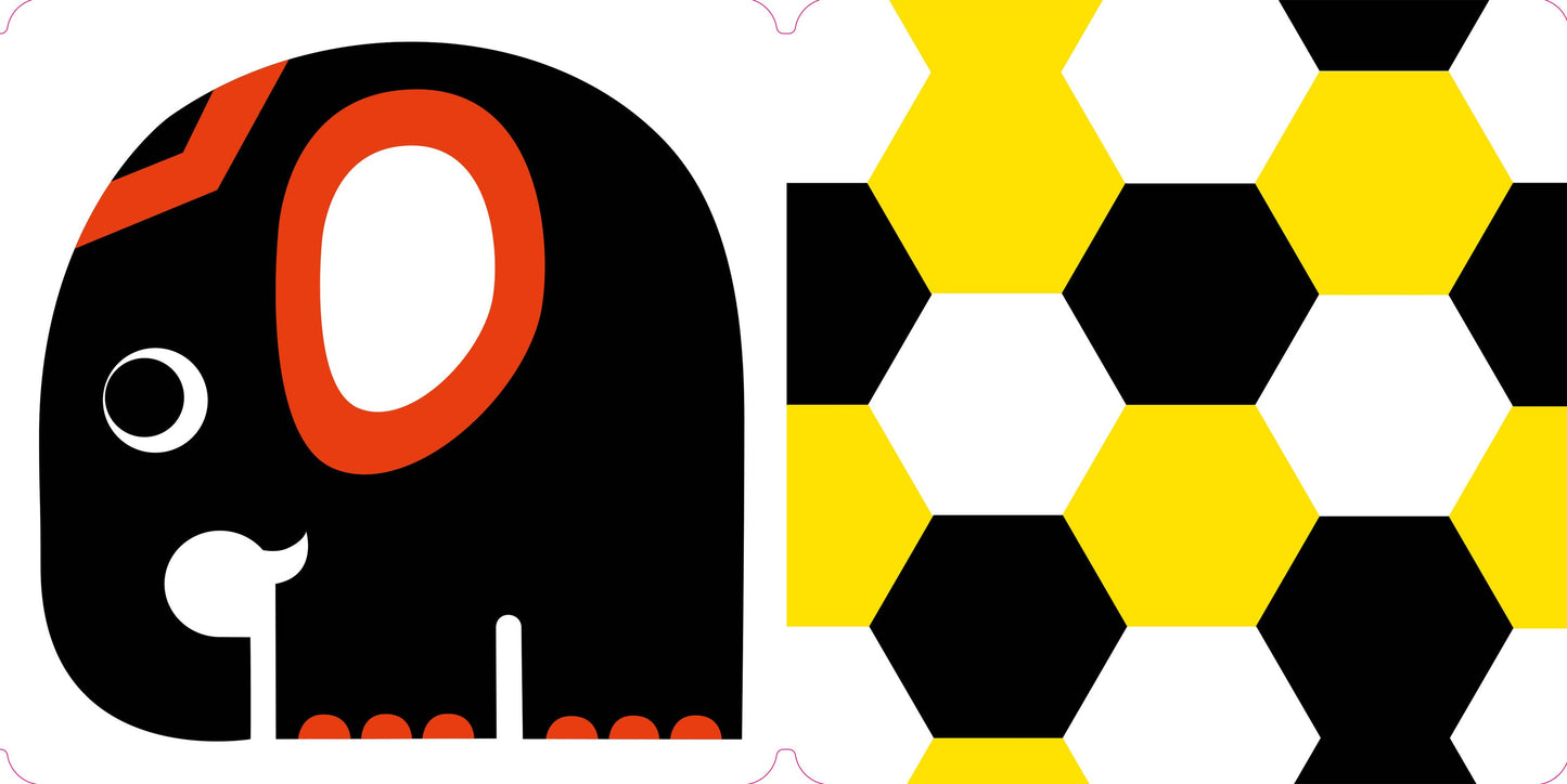 Spring Street Tummy Time: Baby's First Book in Color