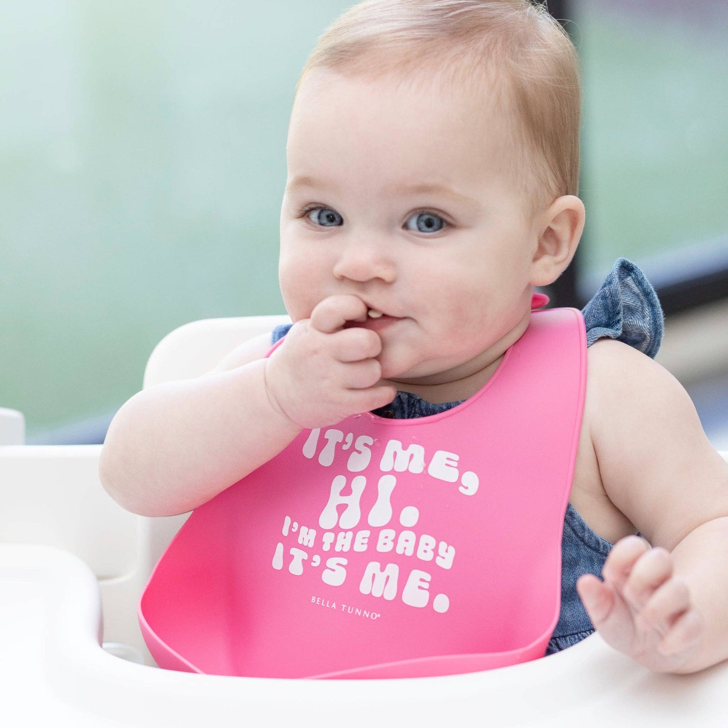 Taylor Swift It's Me Hi Wonder Bib: Pink