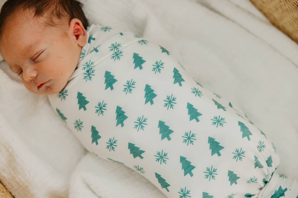 Alps Knit Blanket Single