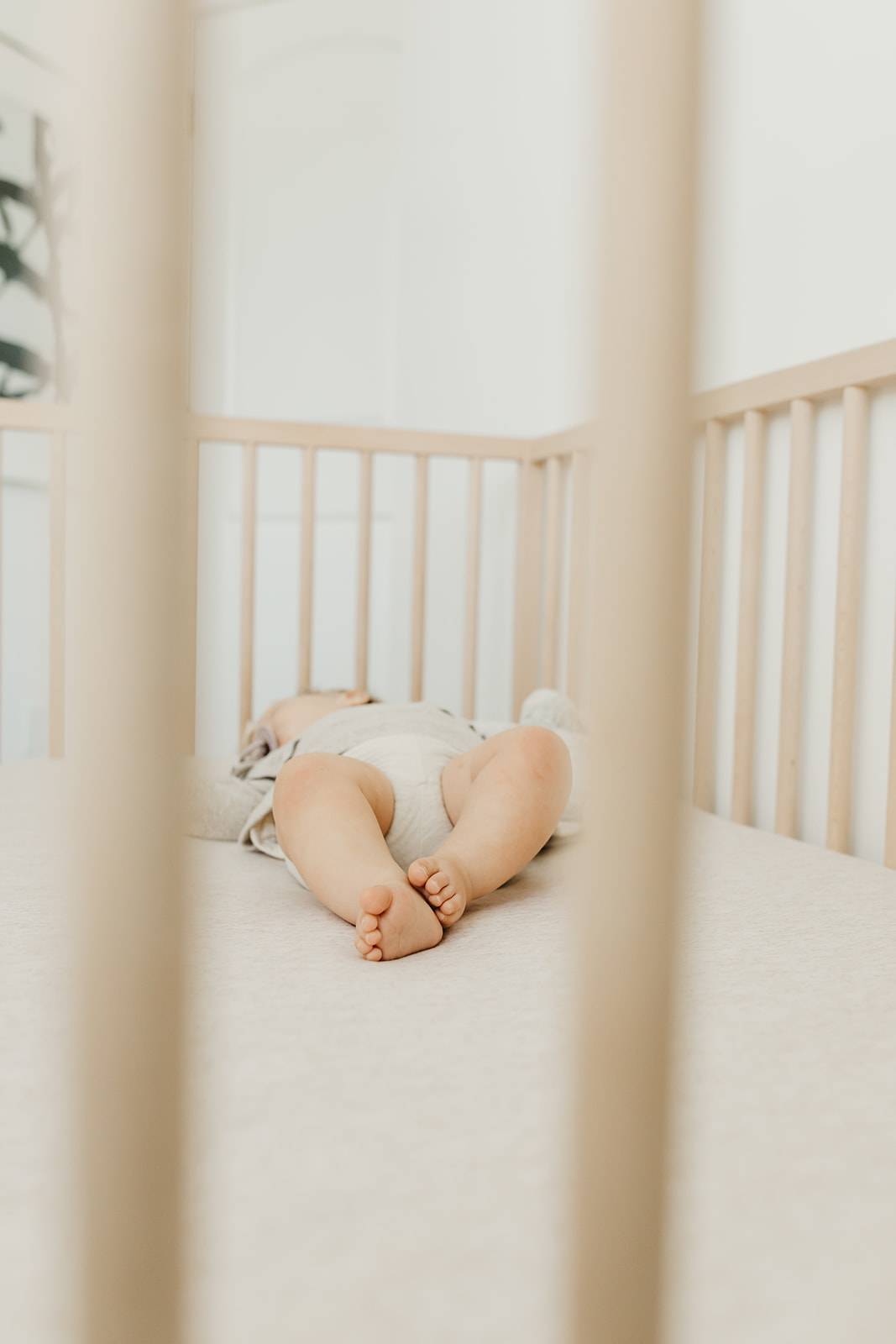 Oat Premium Crib Sheet