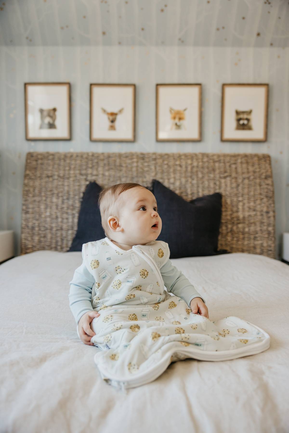 Chip Cloud Sleep Bag 6-12m