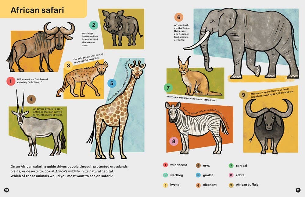 Spring Street Discover: Animals by Boxer Books