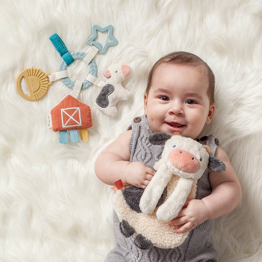 Bitzy Busy Ring™ Teething Activity Toy: Rainbow