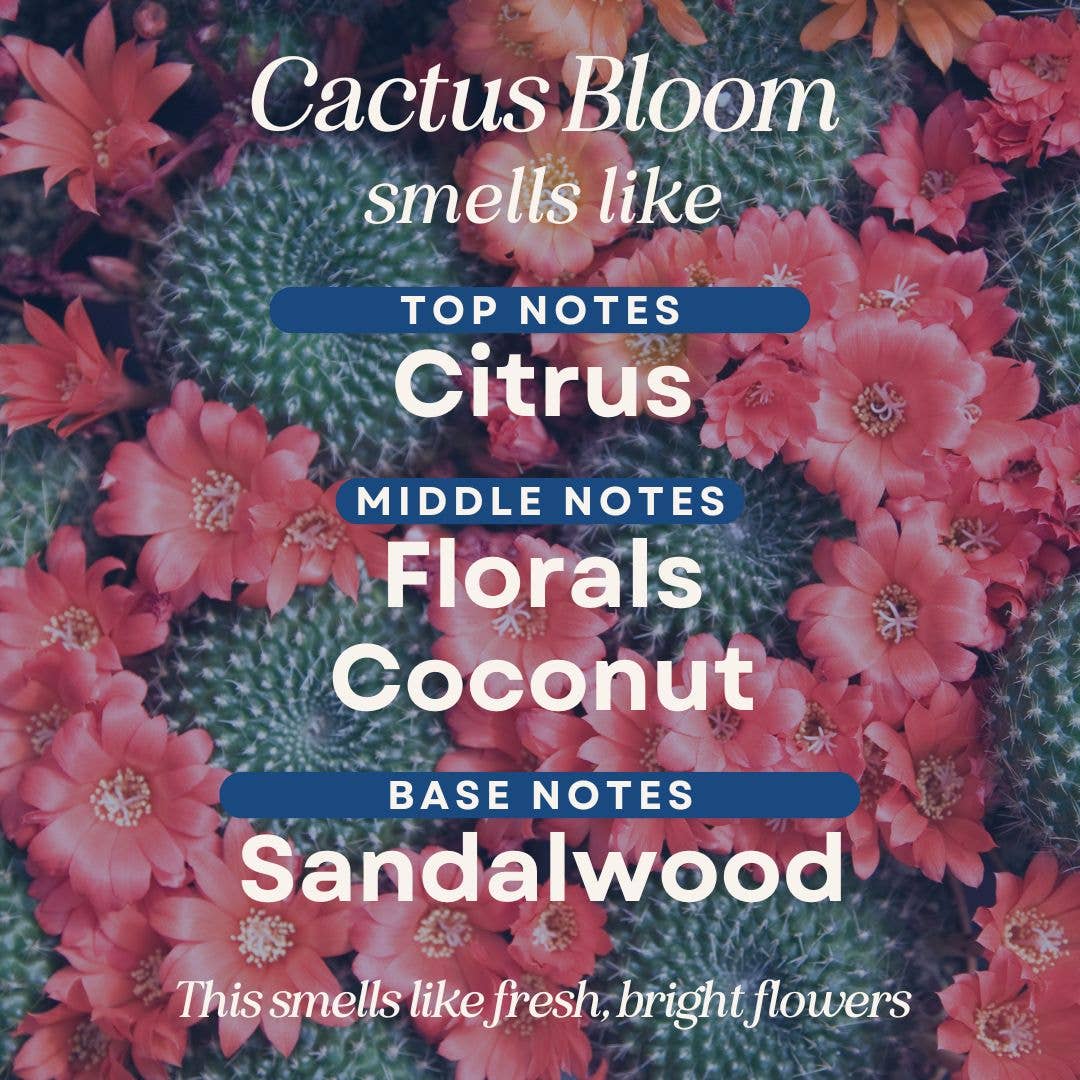 Scented Room & Linen Spray: Fruit Loops / 4 oz Standard