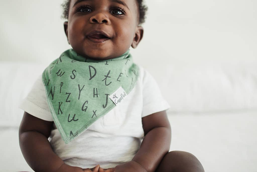 Chip Baby Bandana Bib Set (4-pack)