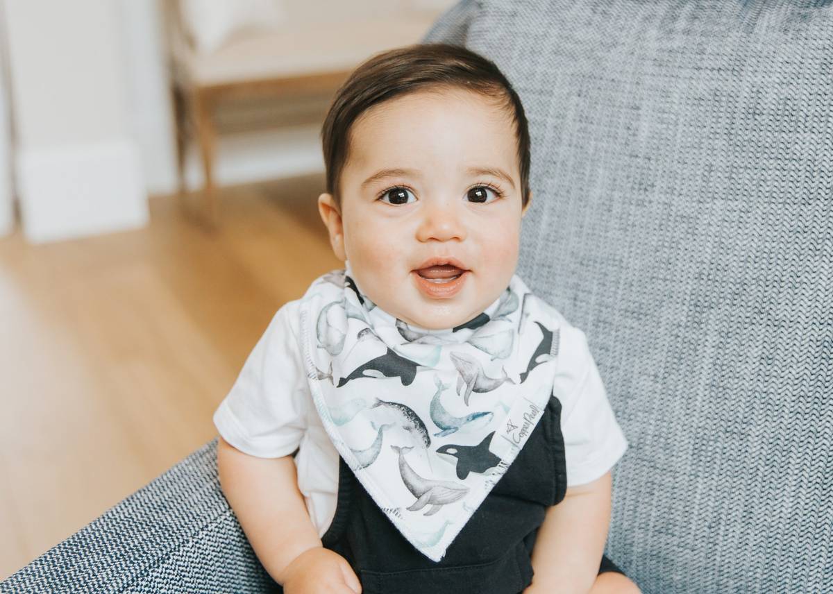 Kai Baby Bandana Bib Set (4-pack)