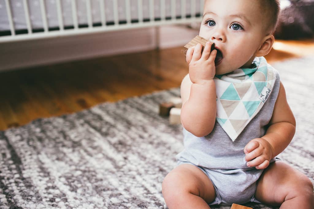 Pacific Baby Bandana Bib Set (4-pack)