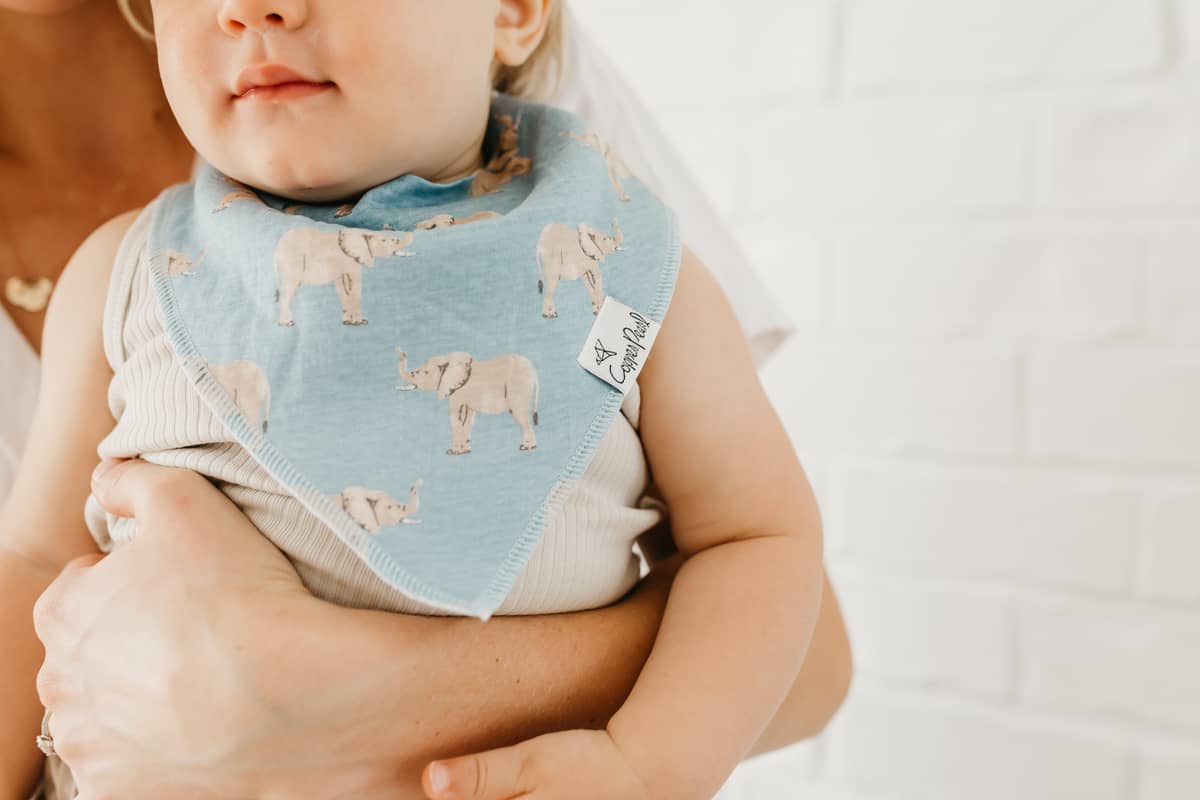 Peanut Baby Bandana Bib Set (4-pack)