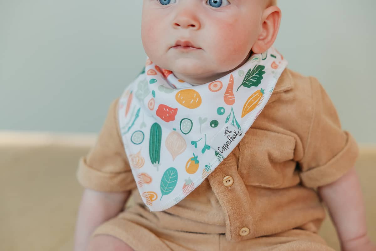 Veggies Bandana Bib Set (4-pack)