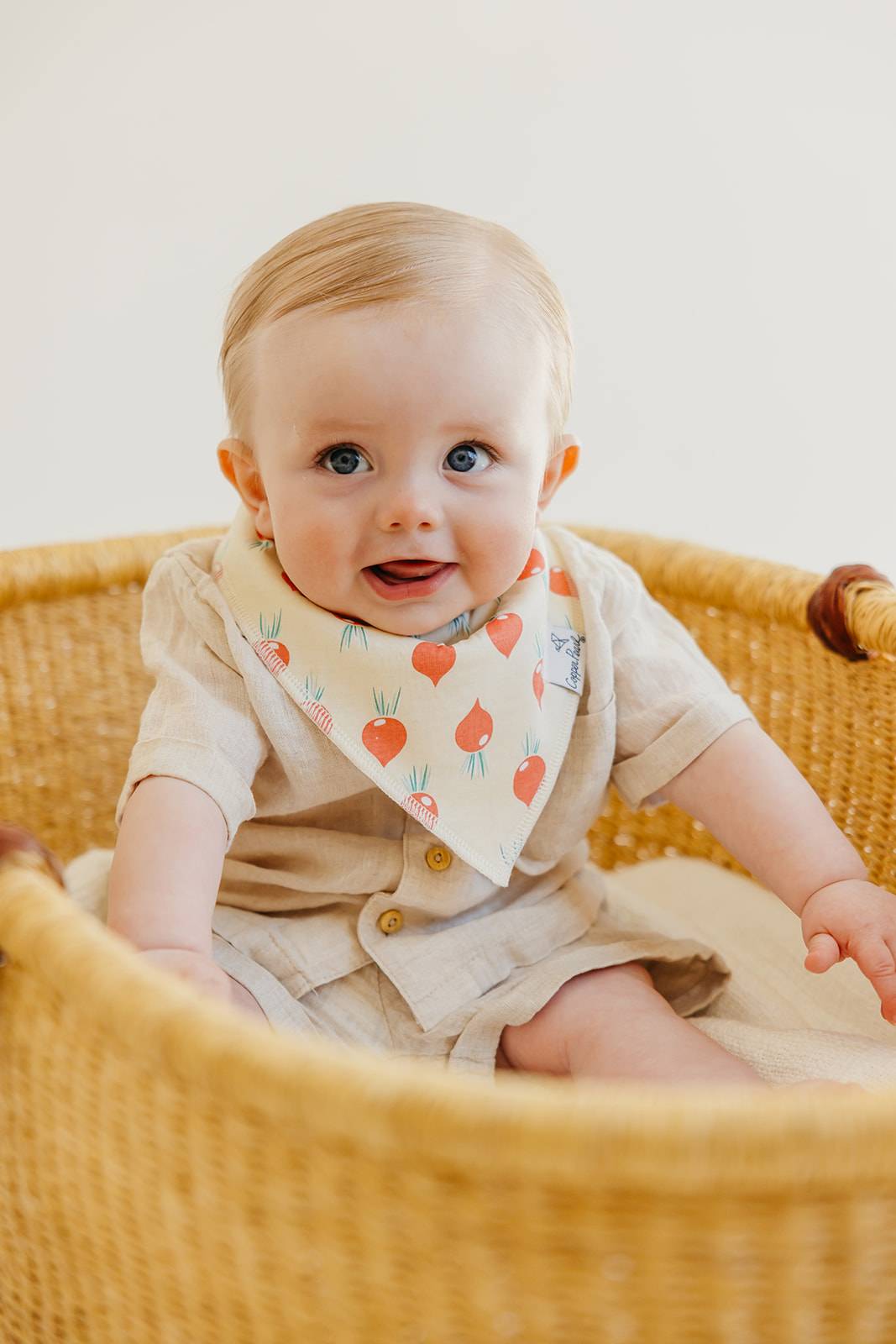 Veggies Bandana Bib Set (4-pack)