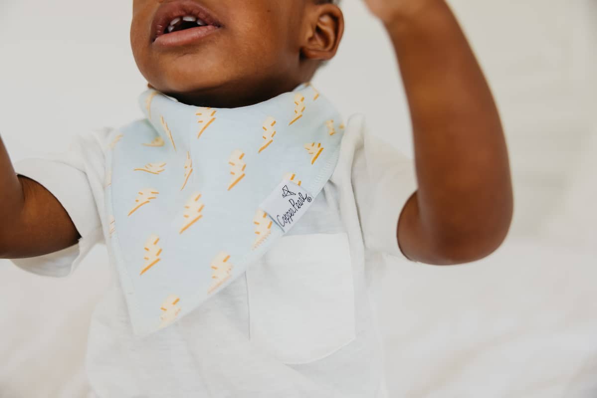 Vance Bandana Bib Set (4-Pack)