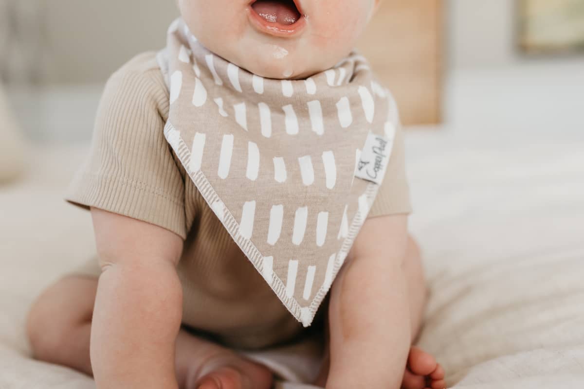 Bliss Baby Bandana Bib Set (4-pack)