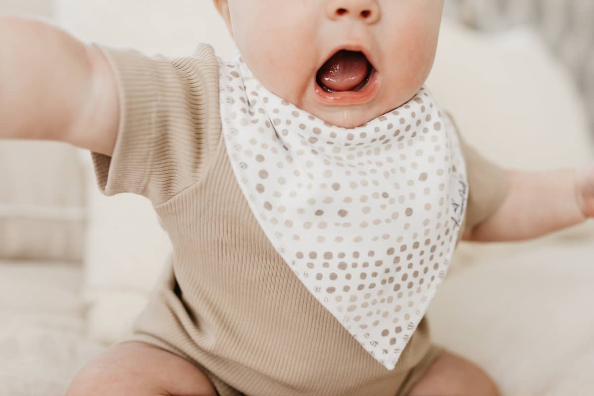 Bliss Baby Bandana Bib Set (4-pack)